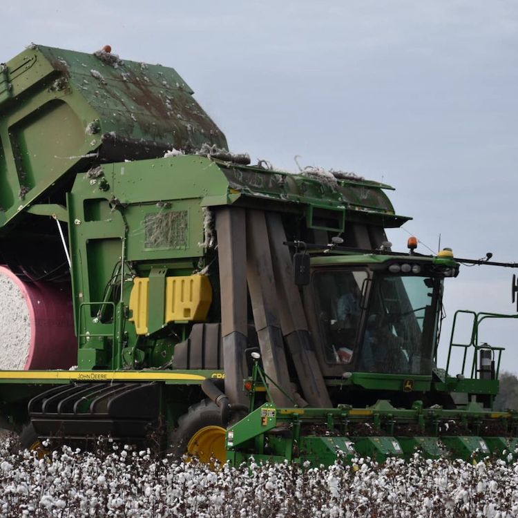 Top 12 Young Farmers & Ranchers Photo Contest Winners